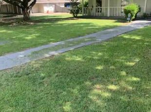 Robert M.'s Yard Cutting service result