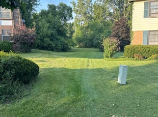 Marcella B.'s Yard Cutting service result