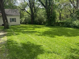 Diana T.'s Yard Cutting service result