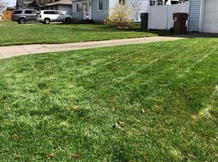 Gail H.'s Yard Cutting service result