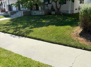 Joel W.'s Lawn Care service result