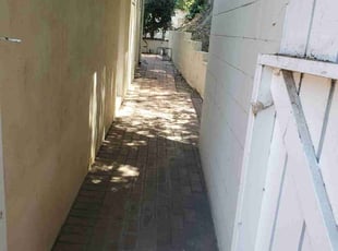Bush Trimming by Jose Claros for Caz B. in Los Angeles, CA