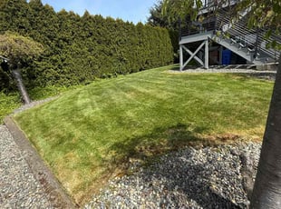 Kit S.'s Lawn Mowing Service service result