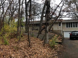 Leaf Removal by Shawn Spiess for Callie S. in Minneapolis, MN