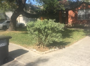 Leaf Removal by Chaes Pate for Jessica R. in San Antonio, TX