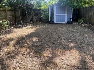 Cleanups by Tony Williams for Katheryn B. in Memphis, TN