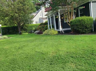 Marcia S.'s Lawn Care service result