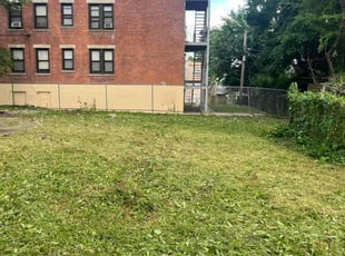 Kelly K.'s Lawn Mowing service result