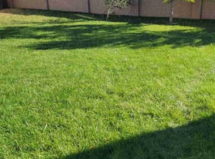 Zima G.'s Lawn Service service result