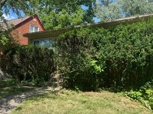 Bush Trimming by Jack Cimini for Greg w. in Cincinnati, OH
