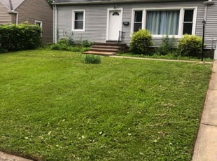 Theresa I.'s Grass Cutting service result