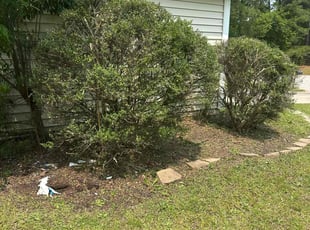 Bush Trimming by Carl McKenzie for Karen T. in Fayetteville, NC