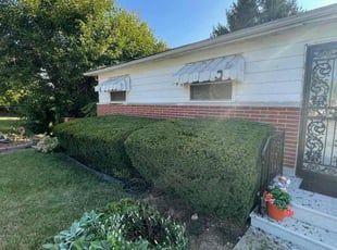 Bush Trimming by Myles Sylvester for Regina C. in Indianapolis, IN