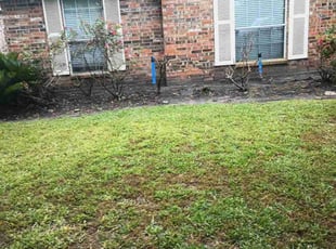 Weeding by Stiarn Titre for "Shannon T. in Tomball, TX