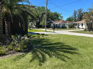 Ann-Maria C.'s Lawn Maintenance service result