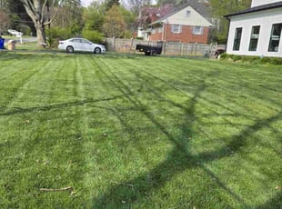 Ronnie W.'s Lawn Mowing service result