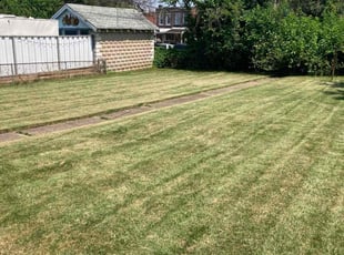 Diana T.'s Lawn Service service result