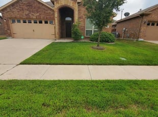 Jennifer P.'s Lawn Service service result
