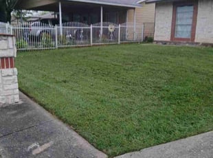 Kathy L.'s Yard Cutting service result