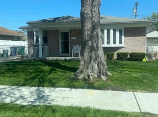 Dante P.'s Grass Cutting service result