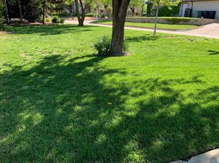 Laverne M.'s Lawn Mowing service result
