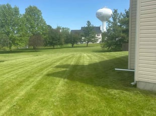 Stephanie S.'s Grass Cutting service result