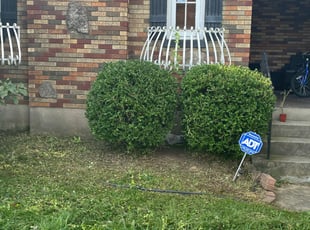 Bush Trimming by Ted Ostavitz for Darynel T. in Cincinnati, OH