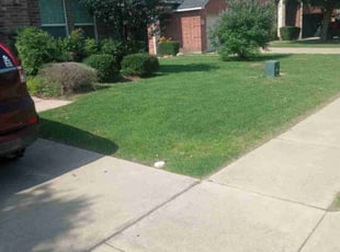 Jimmeal B.'s Lawn Service service result