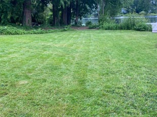 Charlene M.'s Lawn Mowing service result