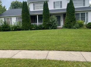Tami W.'s Lawn Service service result