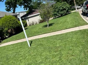 Matthew B.'s Lawn Care service result