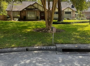 Miguel M.'s Lawn Mowing service result