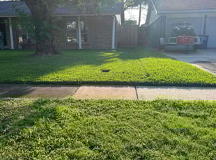 Sandi G.'s Lawn Mowing service result