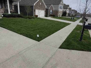 Linda C.'s Lawn Care service result