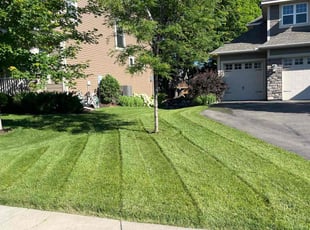 Rhiannon S.'s Yard Cutting service result