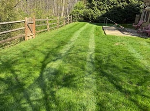 Quita S.'s Lawn Mowing service result