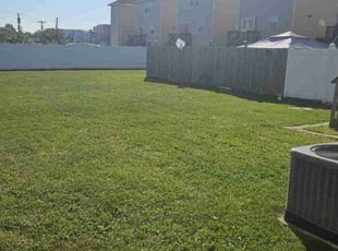 Michael C.'s Lawn Maintenance service result