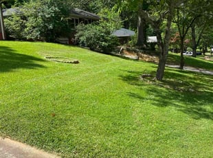 Kevin h.'s Lawn Service service result