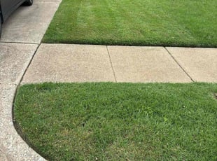 Yvette R.'s Lawn Mowing service result