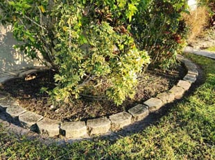Bush Trimming by Terrael Mason for Tom T. in Dunedin, FL