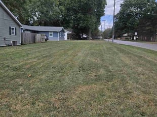 Sean M.'s Grass Cutting service result