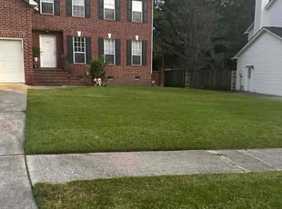 Edward M.'s Lawn Care service result