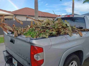 Cleanups by John Hernandez for Elio P. in Miami, FL