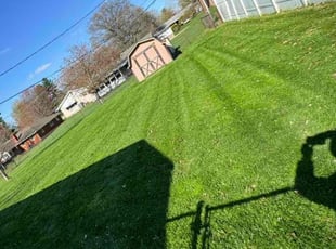 Thomas P.'s Lawn Care service result