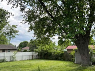 Michele A.'s Lawn Maintenance service result