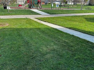 Joseph W.'s Lawn Mowing service result
