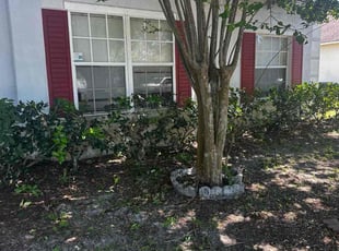 Bush Trimming by James Ramey for Meghan j. in Kissimmee, FL