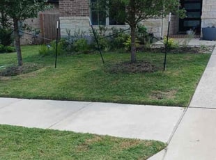 Carol H.'s Lawn Mowing service result