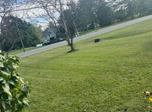 Loretta B.'s Lawn Service service result