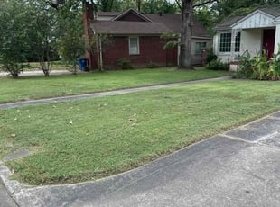Derek S.'s Lawn Care service result